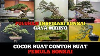 kumpulan INSPIRASI BONSAI GAYA MIRING 2022,#bonsai #kontesbonsai