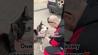Они знают к кому обратиться за помощью️