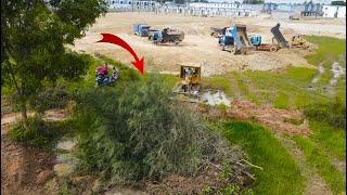 Wow!!Best Action Forest Clearing With Power Dozer Komatsu Do a great job