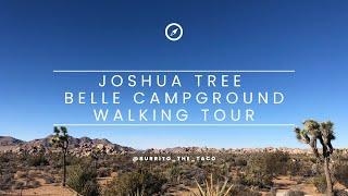 2023 WALKING TOUR OF BELLE CAMPGROUND AT JOSHUA TREE NATIONAL PARK IN CALIFORNIA - CAMPING TOURS