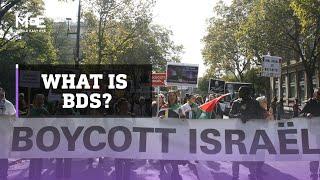 What is the BDS movement?