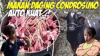 GREGETT..! COBAIN MAKAN DAGING CONDROSIMO, DJALU AUTO KUAT..!