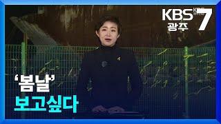 [뉴스7 광주·전남 클로징] ‘봄날’ 보고 싶다 / KBS  2024.04.16.