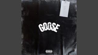 GOOSE