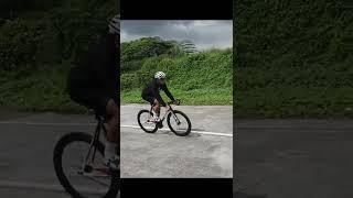 Tsunami Fixie VS Cinelli Fixed Gear 