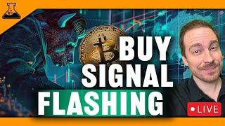 Bitcoin Buy Signal Flashing (Altcoins Setting Up For MASSIVE Run)