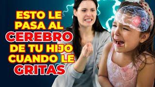 CONSECUENCIAS en el CEREBRO, de los GRITOS Y CASTIGOS