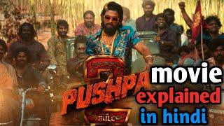 pushpa 2 explained in hindi||pushpa 2 movie full movie hindi #pushpa2