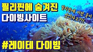 필리핀의 아직 잘 알려지지 않은 스쿠버다이빙 사이트 레이테다이빙 꼭! 가봐야해