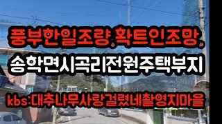 * 풍부한일조량과 확트인조망을 자랑하는 송학면시곡리 남향의 전원주택부지 대추나무사랑걸렸네 촬영지마을 629평//  38만원