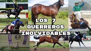 Los 7 Grandes Caballos Guerreros del Hipismo Venezolano