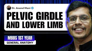 Pelvic Girdle And Lower Limb | General Anatomy In 3D | MBBS 1st Year | Dr. Anand Mani