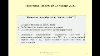 22012021 Налоговая новость о налоге на собак / the tax on dogs