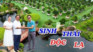 Đại gia chi cả núi tiền để sở hữu những cây cảnh độc đáo nhất Việt Nam - ĐỘC LẠ BÌNH DƯƠNG