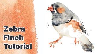 Watercolor Zebra Finch - Drawing and Painting Tutorial!