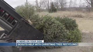 Omaha Boy Scout troop helps with recycling Christmas trees