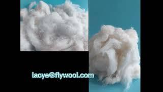 Natural wool fiber and wool noils