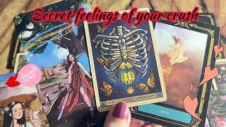 Secretive feelings of your crush ️‍ Crush current feelings | Hindi tarot card reading