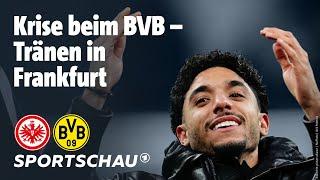 Eintracht Frankfurt – Borussia Dortmund Highlights Bundesliga, 18. Spieltag | Sportschau Fußball