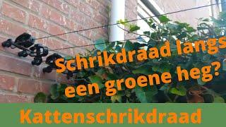 Kan Katten schrikdraad bij een groene heg? Ja, bekijk het hier | Schrikdraad Online