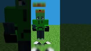 What's The Number? ||Minecraft Animation Meme||