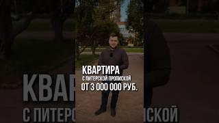 Самый недорогой ЖК с городской пропиской СПб! Квартиры от 3 млн руб. #квартира #новостройки