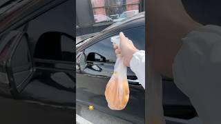 Хасбулла занял место Ахмеда Венгалби #венгалби #wengallbi
