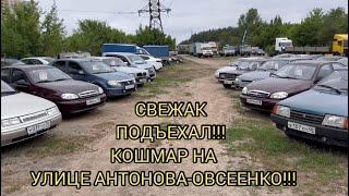 КОСМИЧЕСКИЙ АВТОРЫНОК !ЛЕТО 2024!