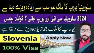 Slovenia Visa For Pakistani 2024 | Easy Europe Visa On Pakistani Passport