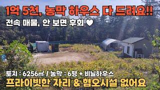 [NO. 484] 급매 가격인하 1억 5천 / 전속 매물 대지전용, 전, 임야, 농막, 하우스, 수도, 전기 다 갖춰져 있습니다! 제천토지매매 • 제천전원주택지매매