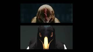 Mercedes-Benz Chicken Commercial & Wobbly Works Microraptor meme comparison