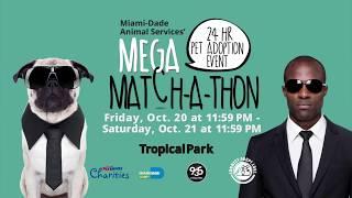 Miami-Dade Animal Services' 24-hour Mega Match-a-thon Pet Adoption Event