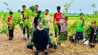 Big Garden Laga Diya | Mix Fruits Plant Garden | Cost Of 1 Acar Garden | Mubarak Ali Tour And Taste