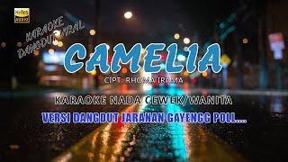 CAMELIA | KARAOKE DANGDUT VIRAL NADA CEWEK/WANITA | COCOK UNTUK LATIHAN BERNYANYI AUDIO FULL GLERR