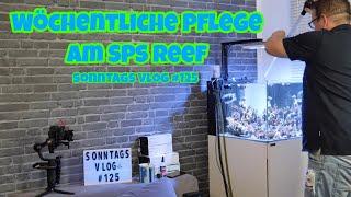 Der Meerwasseraquaristik Sonntags Vlog EP 125 ⭐braunes zeug im SPS Reef & so dies und das ⭐