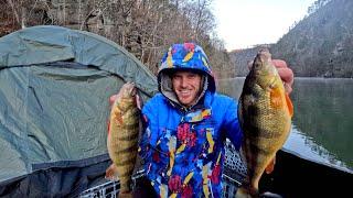 Boat Camping at a Mountain Reservoir! JUMBO Perch Catch and Cook