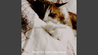 Refined Music for Relaxing Cats