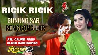 Ricik-Ricik ,Gunung Sari, Renggong Lor Banyumasan Asli Lengger calung Pring