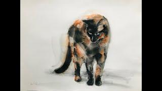 Painting a Tortoiseshell cat with watercolor