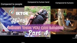 THINGS THAT ARE BIGGER THAN YOU THINK [TIKTOK COMPILATION] - PART 4