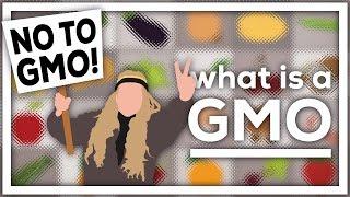What is a GMO?