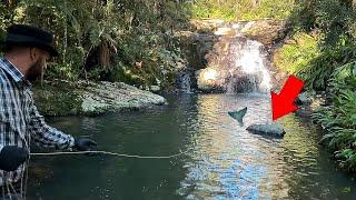 Pesca magnética e Detectorismo no Rio da Caverna Secreta [ Jack Charles ]