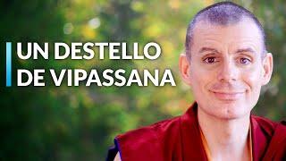 Meditación Paso a Paso | Lama Rinchen Gyaltsen [Sesión 14]