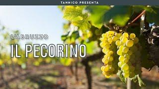 Il Pecorino in Abruzzo, vino da pastori e piccoli artigiani | Tannico
