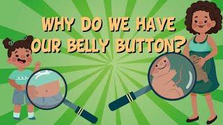 Why do we have our belly button? | Educational Videos For Kids