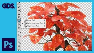 The Background Eraser Tool In Adobe Photoshop