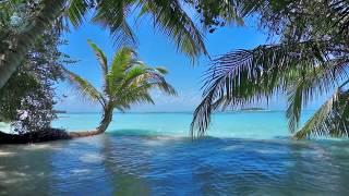  Ocean Ambience on a Tropical Island (Maldives) with Soothing Waves & Paradise View for Relaxation.