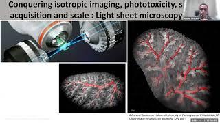 Establishing a workflow for light sheet imaging and image processing