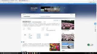 日入千元第52天 bitconnect平台  郁金香泡沫分析/郁金香泡沫和比特币的联系/B2X硬分叉又失败了/闪电网络首次尝试