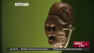 34959 rizne Kunst CCTV Afrique South Africa's Makapansgat pebble a big attraction at London Museum